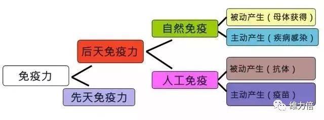 央视 营养素是新冠肺炎预防 治疗和康复的重要手段 免疫能力