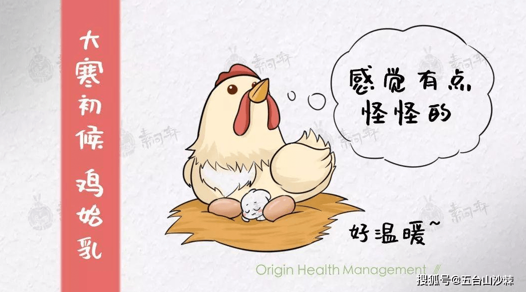 "鸡始乳"的意思是鸡开始哺育后代了.