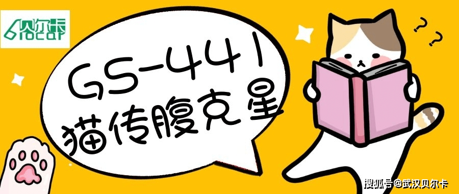 efeee5a82bea40a8b43225e025e544d9.png