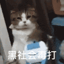 39d584f30ffe416b9437c862ed9eff67.gif
