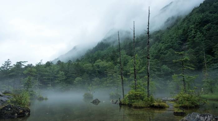 家电销售分公司走到十字路口，亟待商业价值重构！-家电圈官网