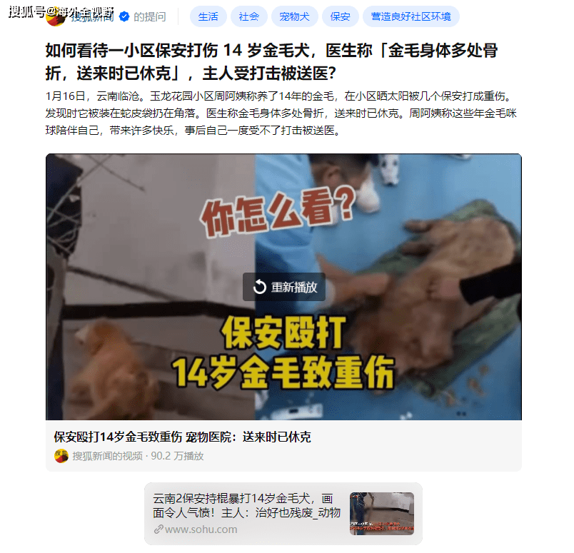 保安殴打14岁金毛!在美国遛狗不牵绳,会怎样?