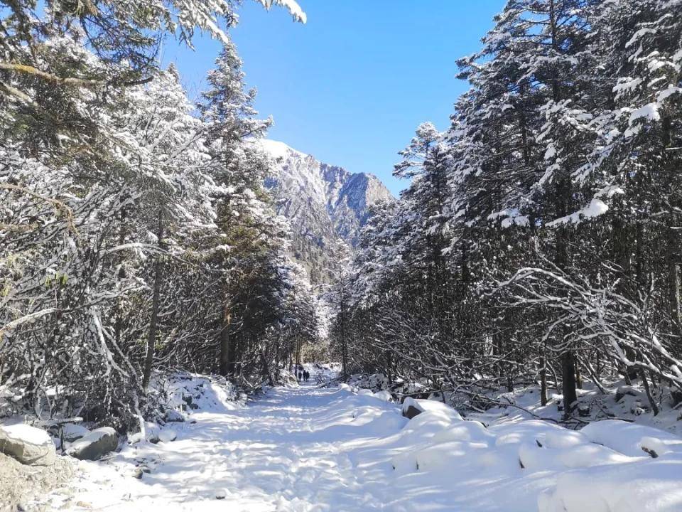 遇见汶川！暖阳+冰雪，不负暖冬！