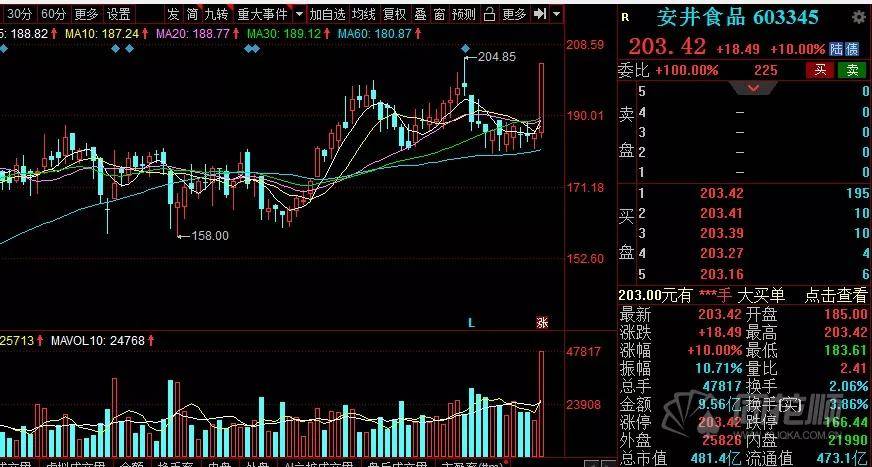 核酸GDP(2)