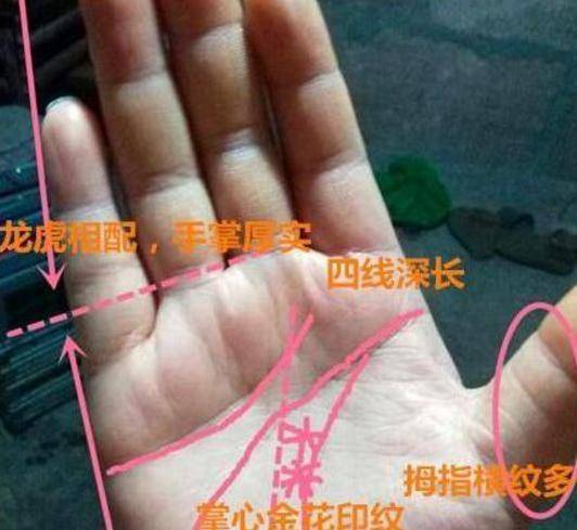 原创你的手相中出现这些符号百年难遇一个钱财满仓富及三代