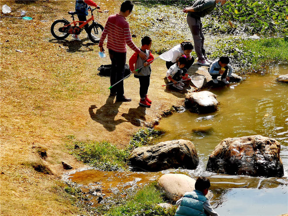在河边嬉戏的小朋友和大朋友,假期时光就是这么悠闲_手机搜狐网