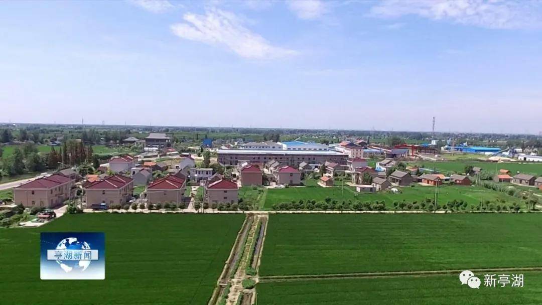 亭湖新兴镇守住生态好风景打造绿色聚宝盆