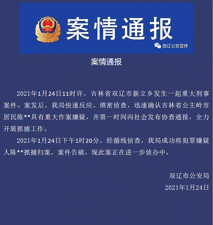 刑事案件录其它人口供_人口普查图片(2)