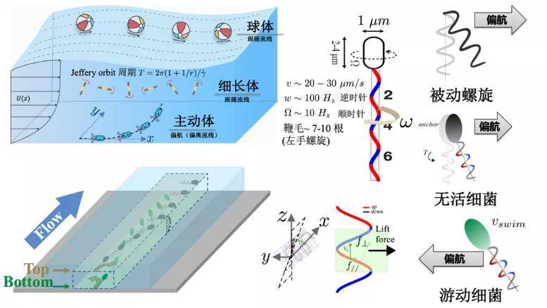 成果|对标一流 | 2020西北大学自然科学研究亮点论文盘点