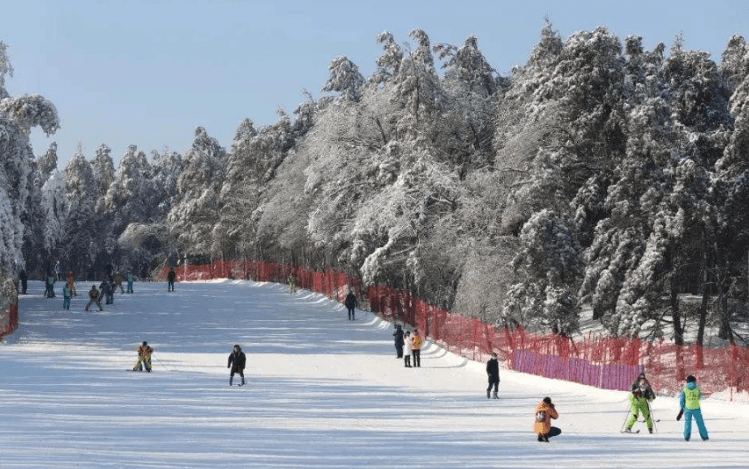 长春携手广州发展文化旅游？带来一场“冰雪盛宴”！