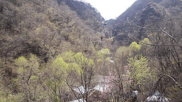 新世纪游乐|重渡沟景区滑索项目建设顺利完工