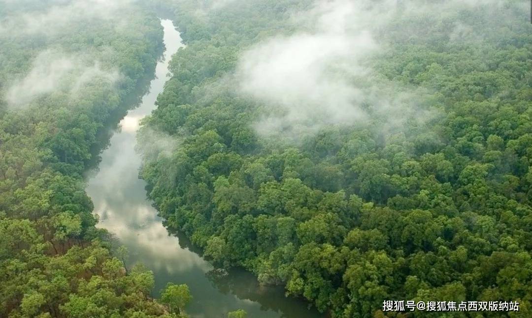 一生乘风破浪，难得恣意徜徉