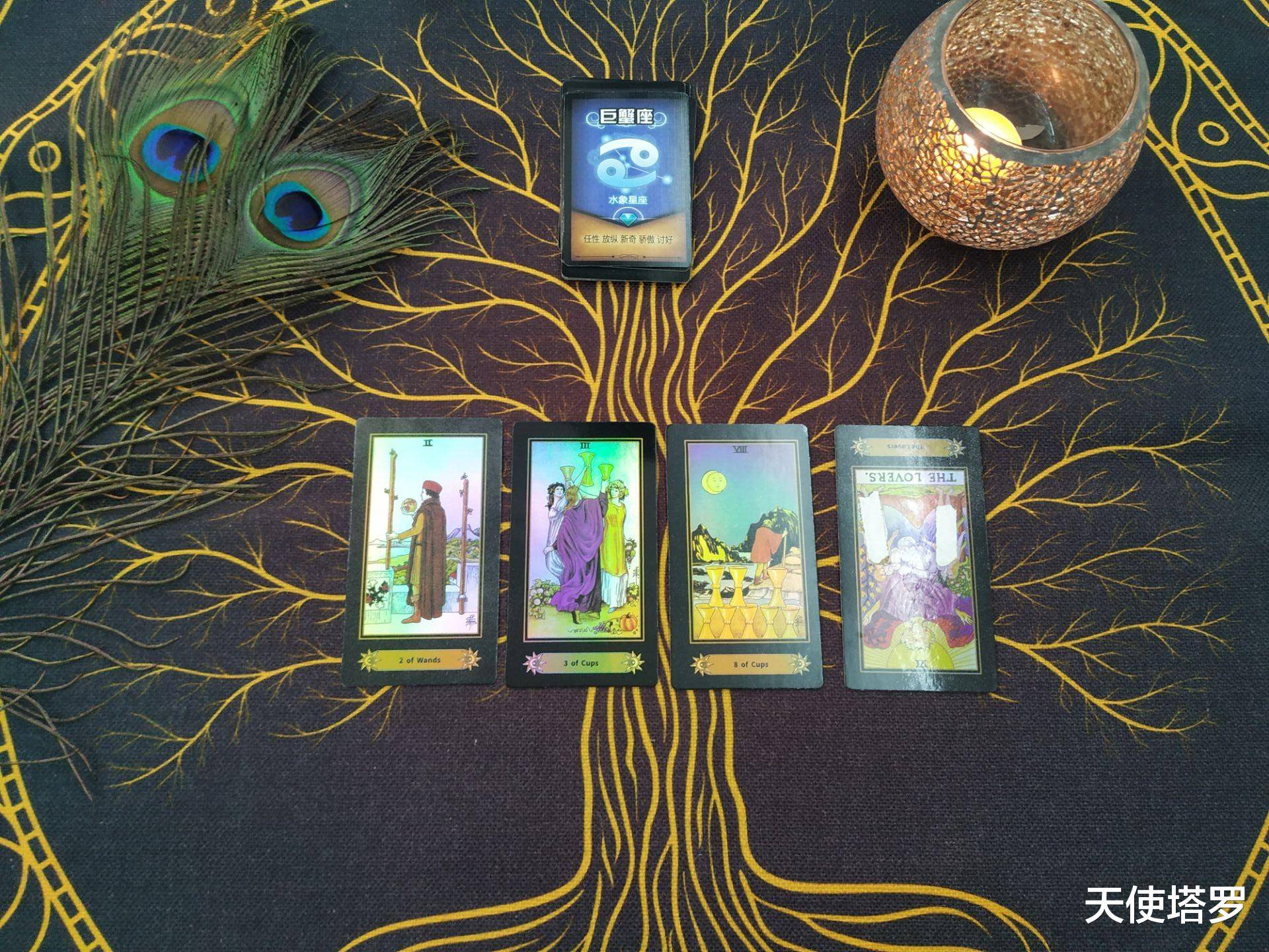 天使塔罗 一季度巨蟹座运势 不再事与愿违 开始扭转局面 能量