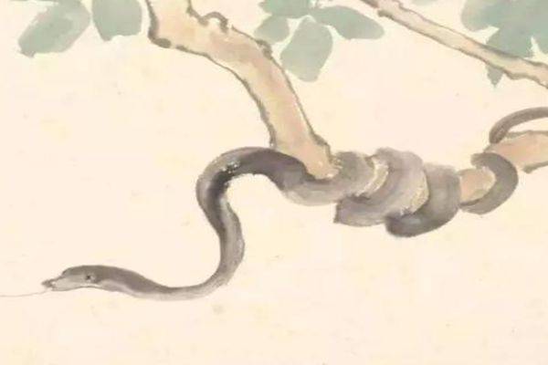 属兔最好的命格八字 属兔的什么命最好