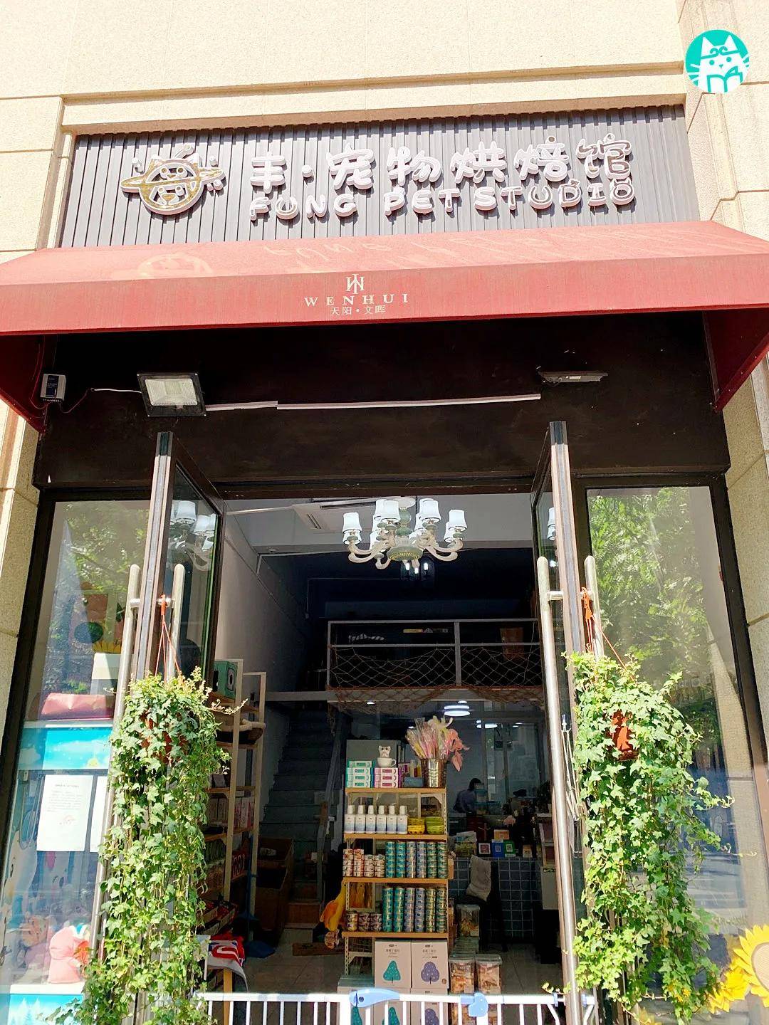 寵物店店主學習讓我們少走彎路也能結識到業內優秀的前輩們