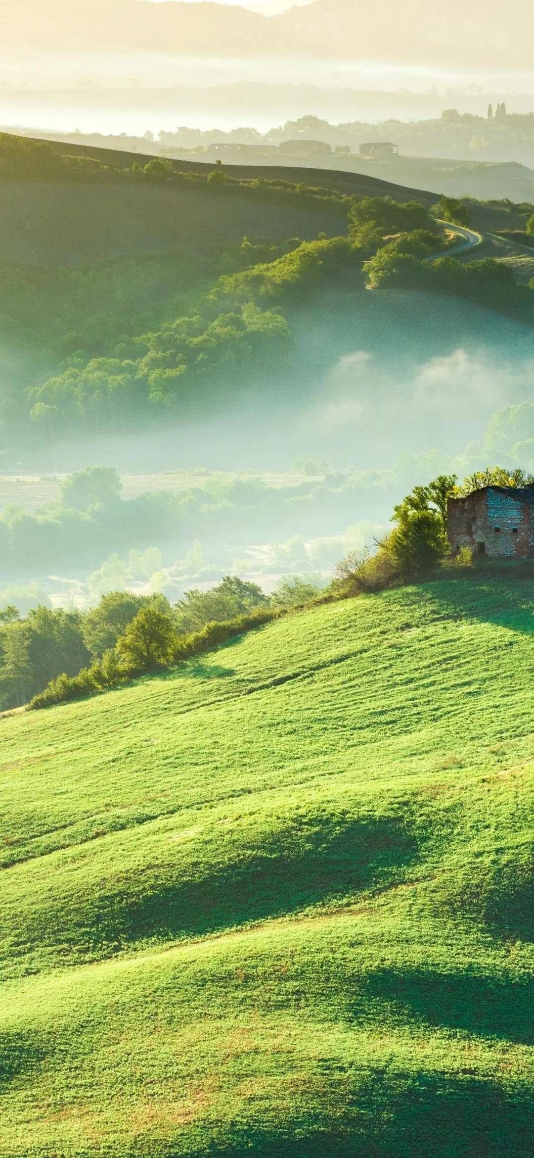 未来一天天气琼中 7b2cd3dc1d904759a672530ee0b7e790.jpeg