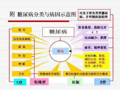 糖尿病的病因