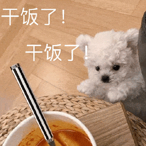 可爱沙雕表情包猪猪吃饭啦