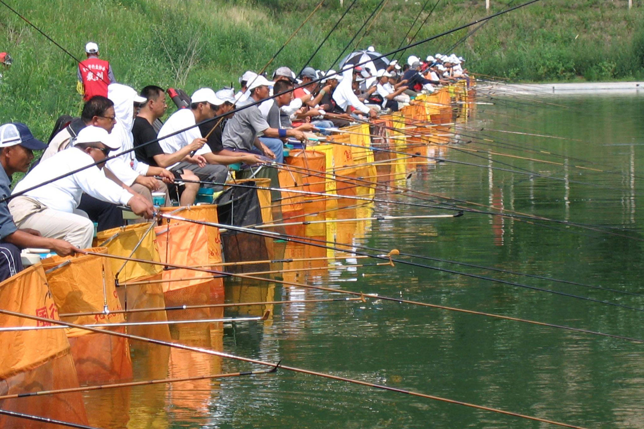 怎样使用手竿钓鱼?使用手竿钓鱼的几个技巧_手机搜狐网