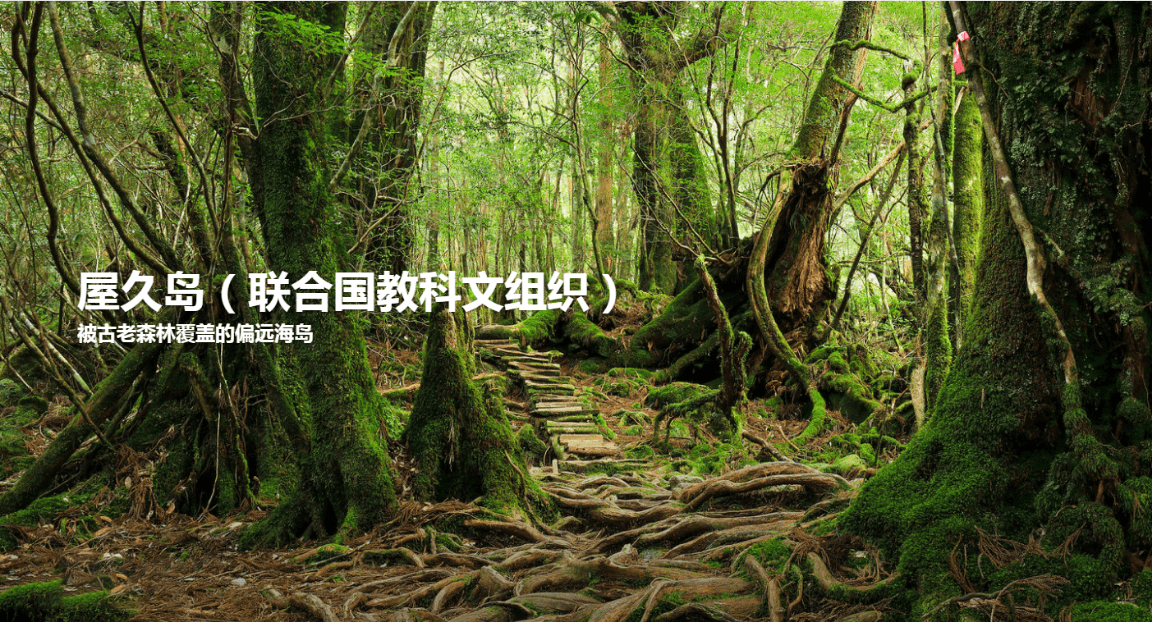 日本旅游景点攻略：日本屋久岛——宫崎骏《幽灵公主》原型森林