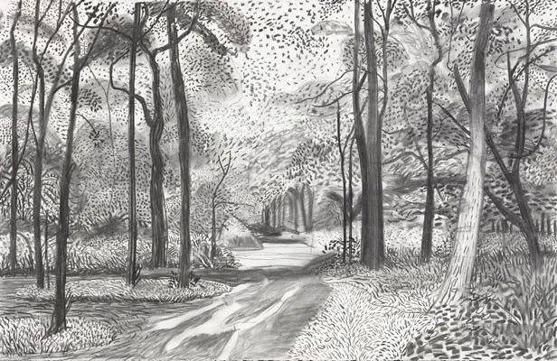 作品赏析回归素描的美感大卫霍克尼素描风景作品