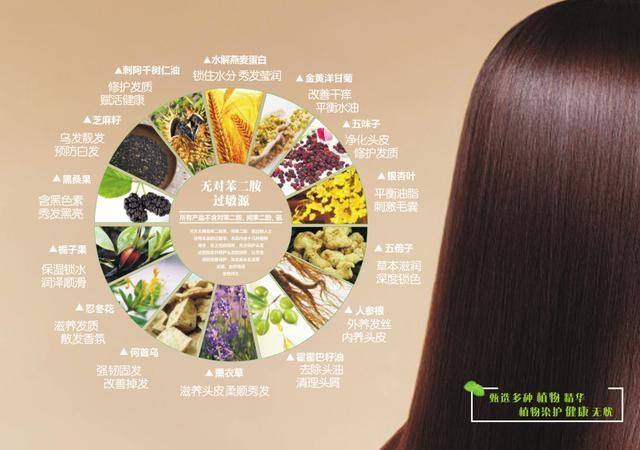 植物染发排行_植物染发成为消费新趋势,全民健康养护新升级