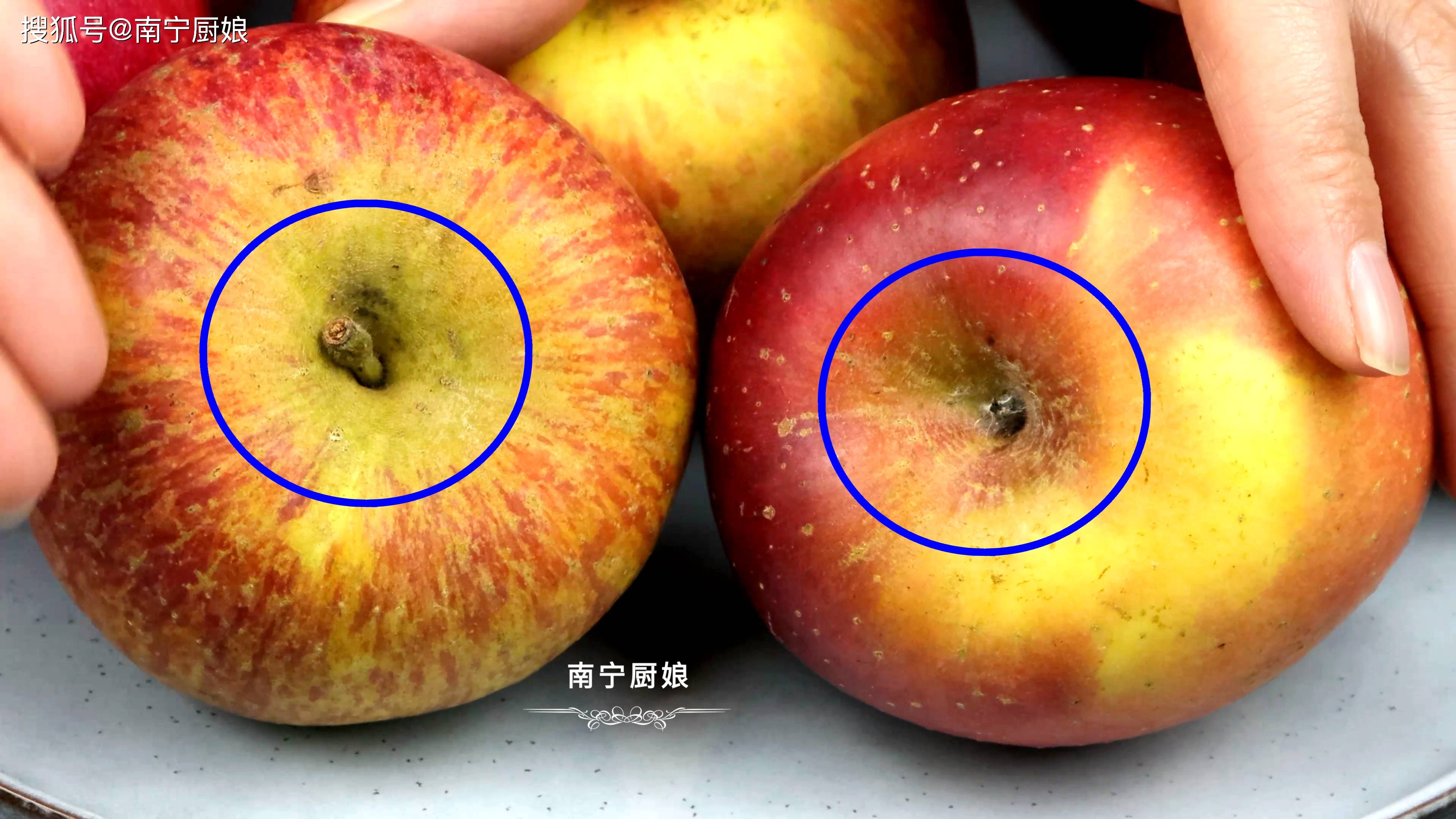 苹果蒂是哪部分图片图片