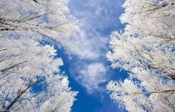 新疆四季皆美景，最是留恋在冬季