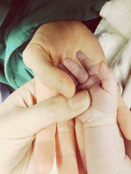 朗朗透露吉娜生产细节（图）