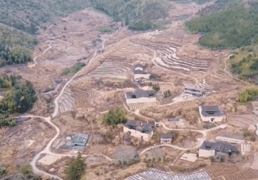 福建原始森林里的无人村，房屋已经快要垮塌，土地却有人种