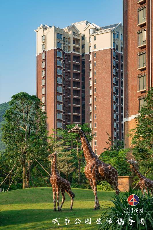 官网广州金时花园售楼处电话售楼处位置房源价格