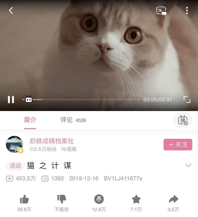 极速|B站没有标准答案