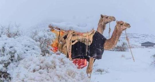 地球危险了？撒哈拉沙漠罕见下雪天气，玛雅预言或将成真？