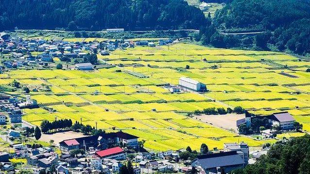 日本最有钱的村子：从出生就开始发钱，为什么没有人愿意去住？