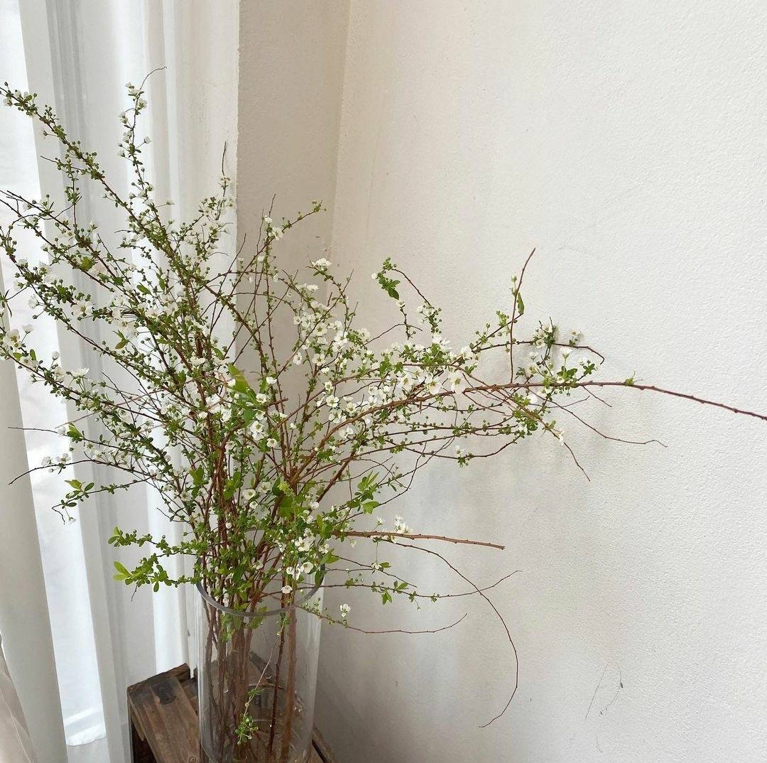 散状花材外形呈散点状的花材或叶材,这类材料整体层次感较强,有一定的