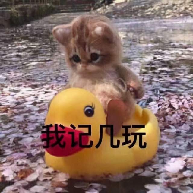 什么是对的人一见到你就想笑图片 25e8dd1b3b03439ba2c712e7059b0c24.jpeg
