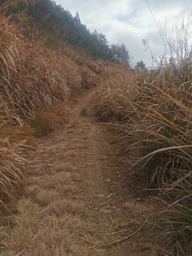 周宁悦徒｜我是你的眼——天上人间