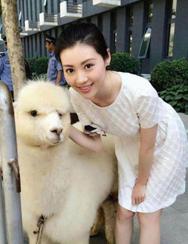 她6岁出道,10岁就当主演,长大后却只能演配角_张妍