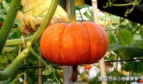 保护胃黏膜的食物水果 3a43ea6c32954dd893cd321789bfa34f.jpeg
