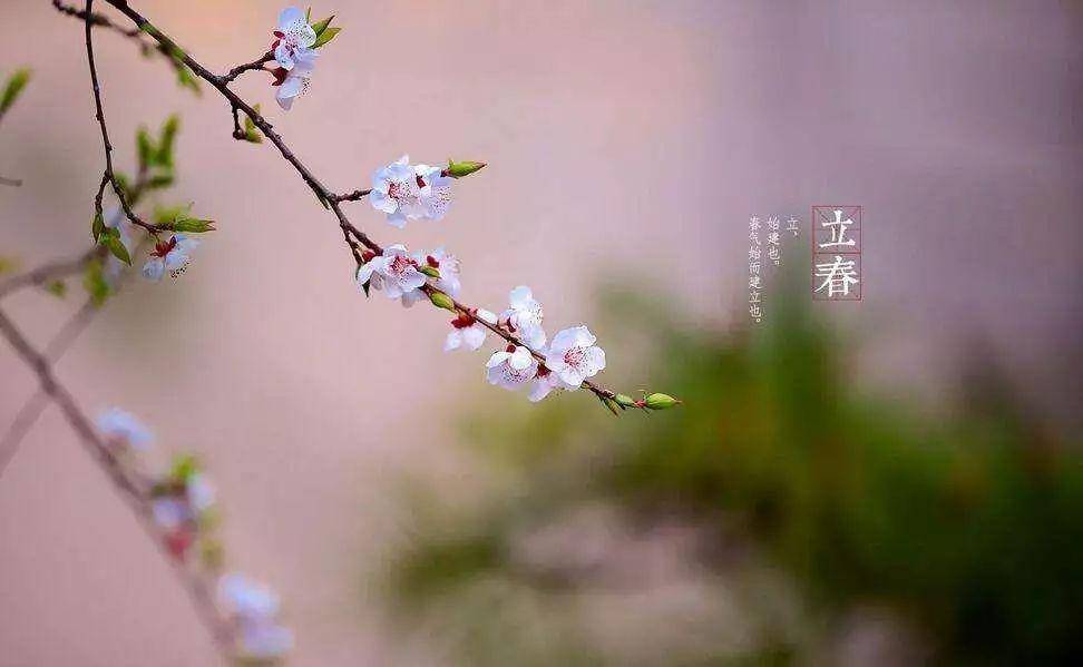 今日立春 春回大地万物生 时节