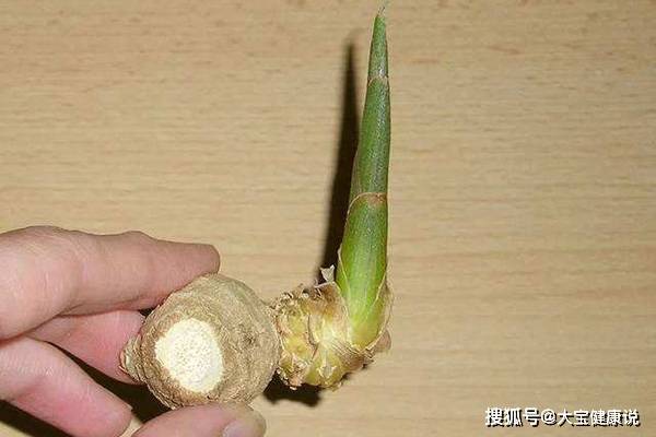 原創發芽的土豆能不能吃?3類食物發芽後,或有毒