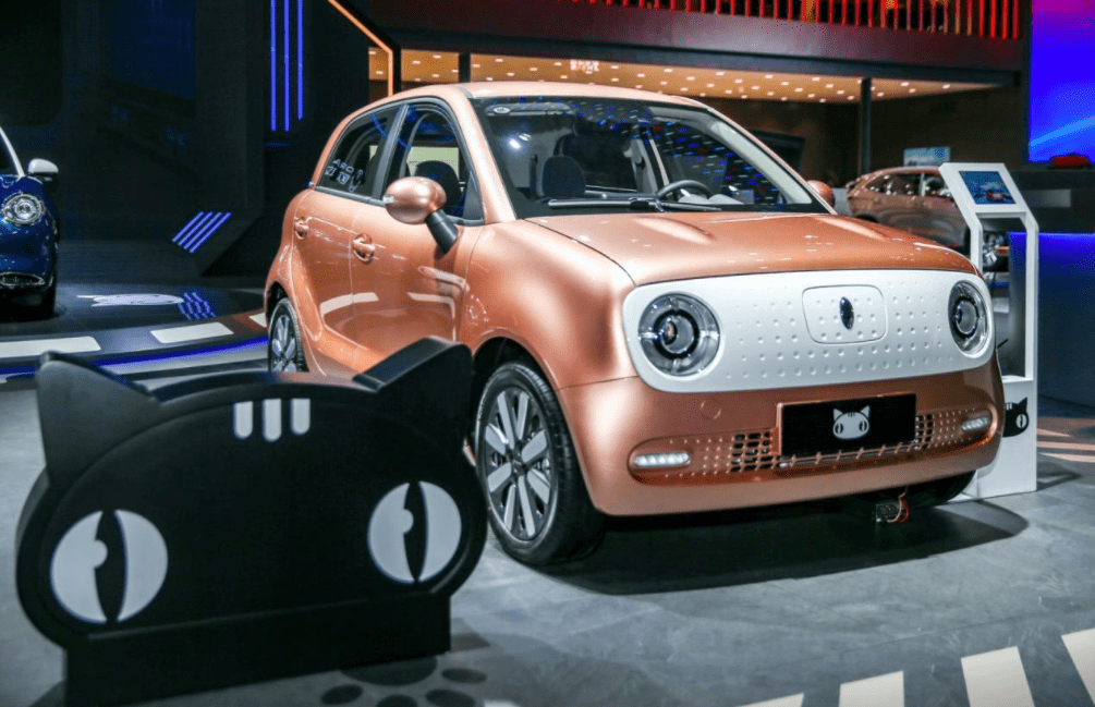 全球电动车排名_电动车排名前十名(2)