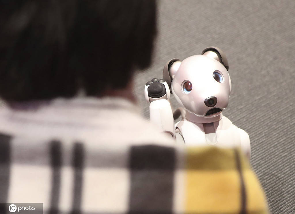 索尼机器狗aibo推出巧克力新配色