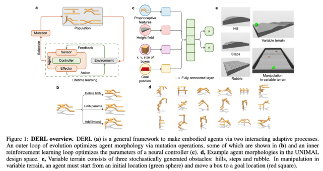 形态|AI智能体学会动物进化法则：李飞飞等提出深度进化RL