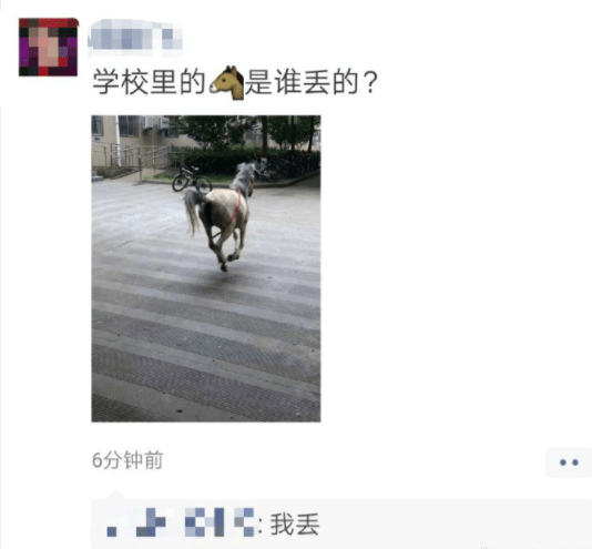 原创
开心一刻:女朋友最近减肥,每天晚上都在家气喘吁吁的跳一小时减肥舞