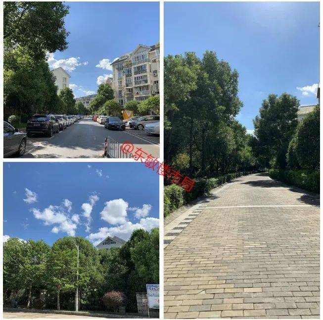 ����|10���ס�ڰ˷�С������,�����߽���ʵ�İ˷�С��!