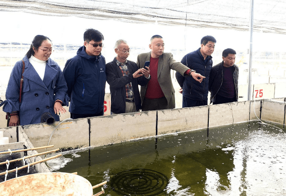 滇中深山产出高端“海味”