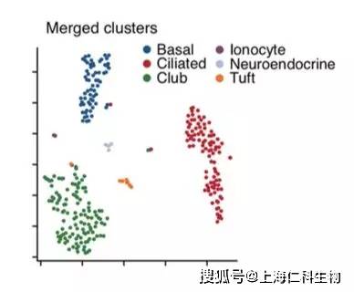 绘眼人口的意思_人口普查(2)