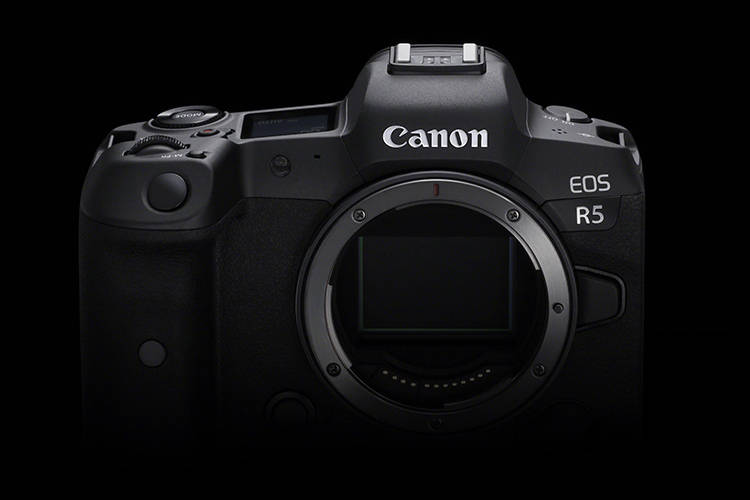 2020单反相机排行榜_京东一周无反/单反相机销售排行榜2021.06.11