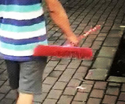二哈跟主人遛遛，網友感慨這家二哈好聽話，仔細一看笑翻了 萌趣萌寵 第4张